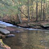 Buttermilk Brook - Bear Slides, New York - 257 Reviews, Map | AllTrails