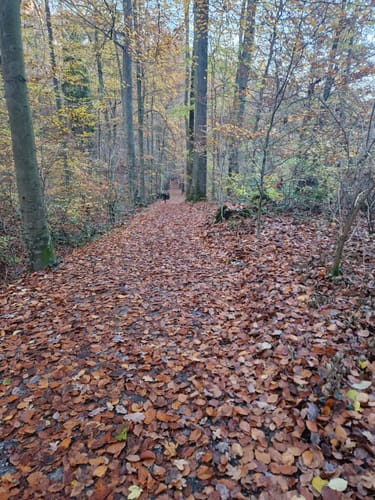 Bad Salzuflen: Wanderweg Obernberg