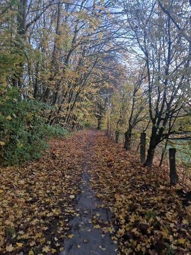 Bad Salzuflen: Wanderweg Obernberg