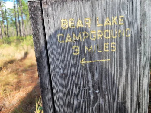 Best Hikes and Trails in Bear Lake Recreation Area | AllTrails