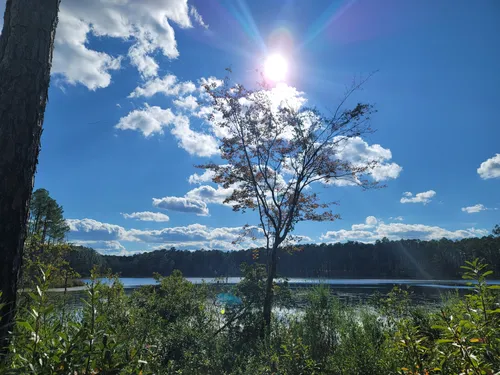 Best Hikes and Trails in Bear Lake Recreation Area | AllTrails