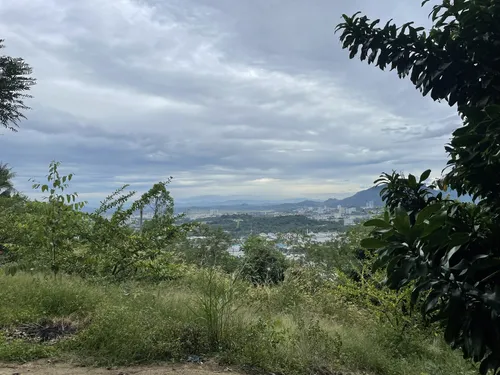 Best Views Trails in Bukit Juru Forest Reserve | AllTrails