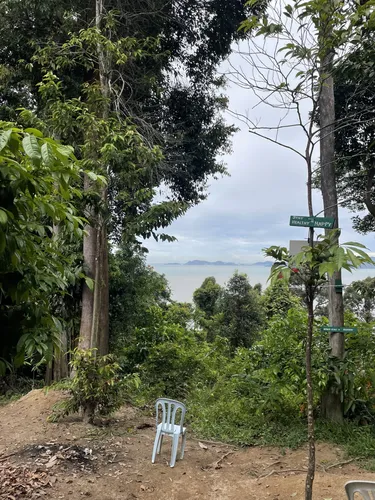 Best Views Trails in Bukit Juru Forest Reserve | AllTrails