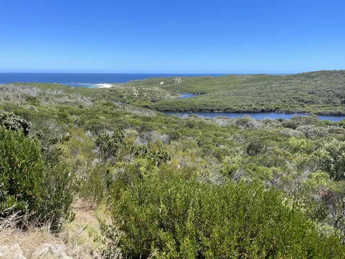 Best Hikes and Trails in Bramley National Park AllTrails