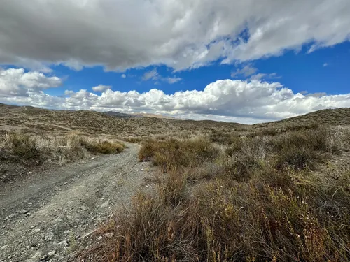 2023 Best Dogs On Leash Trails in Quail Valley | AllTrails