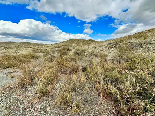 2023 Best Dogs On Leash Trails in Quail Valley | AllTrails