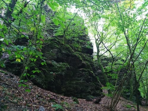Naurother Grubengold (Premiumwanderweg)