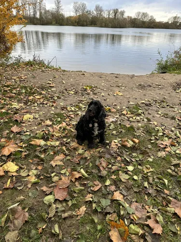Best Hikes and Trails in Delapre Park | AllTrails