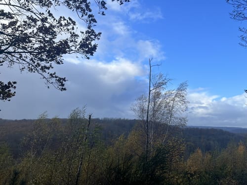 Wildnis Trail Etappe 4: Heimbach - Zerkall