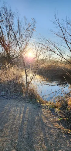 24+ Van Patten Woods Forest Preserve