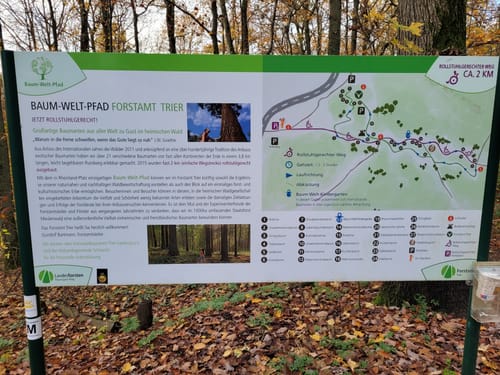 Baum-Welt-Pfad