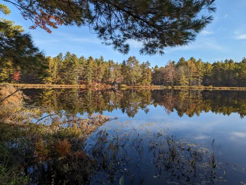 10 Best Hikes and Trails in Bon Echo Provincial Park | AllTrails