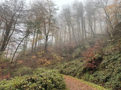 Idesbachpfad (Premiumwanderweg)