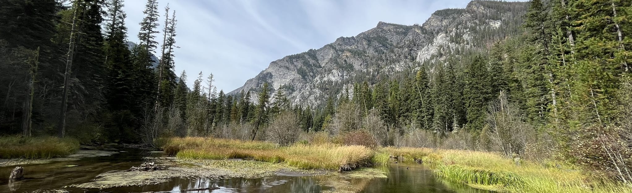 Bass Creek Trail, Montana - 605 Reviews, Map | AllTrails