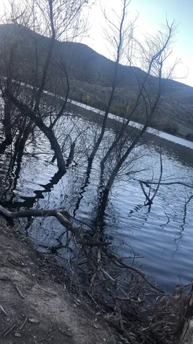 2023 Best Dogs On Leash Trails in Quail Valley | AllTrails