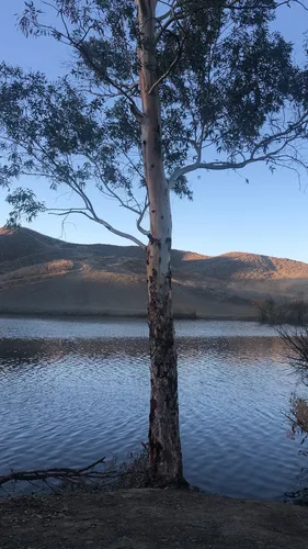 2023 Best Dogs On Leash Trails in Quail Valley | AllTrails