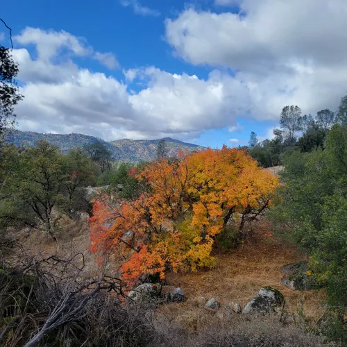 Best Hikes and Trails in Horseshoe Bend San Joaquin River AllTrails