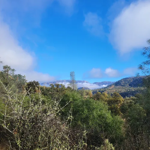 Best Hikes and Trails in Horseshoe Bend San Joaquin River AllTrails