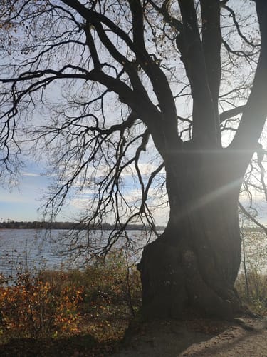 Einfelder und Bordesholmer See