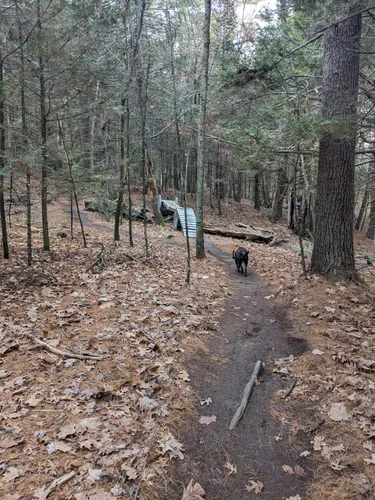 Best Hikes and Trails in Yudicky Farm Conservation Area | AllTrails