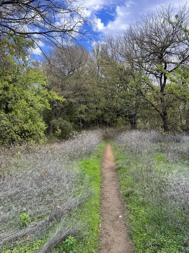 Best Dog Friendly Trails in Grapevine | AllTrails