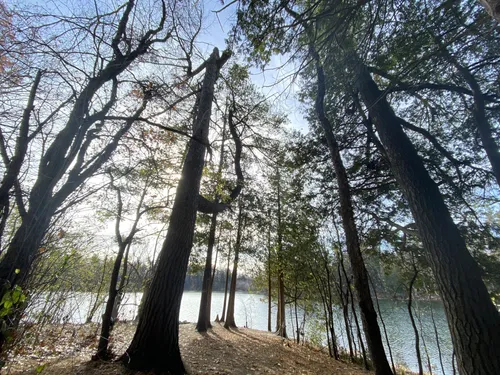 Best Hikes and Trails in Oak Ridges Corridor Conservation Reserve ...