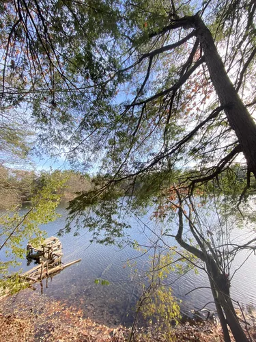 Best Hikes and Trails in Oak Ridges Corridor Conservation Reserve ...
