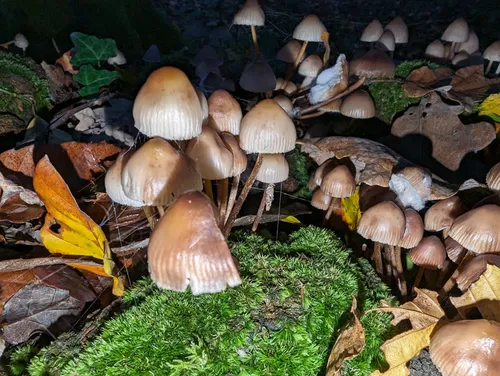 Best Hikes and Trails in Réserve naturelle de la tourbière de Logné