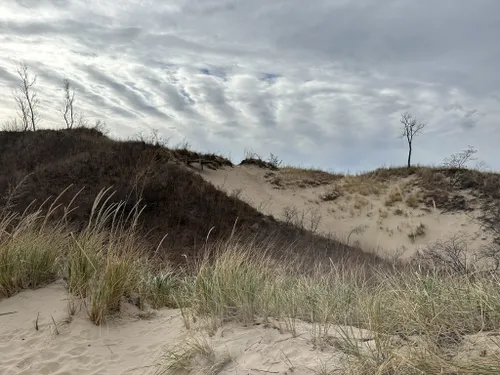 Best Bird Watching Trails in Indiana Dunes National Park | AllTrails