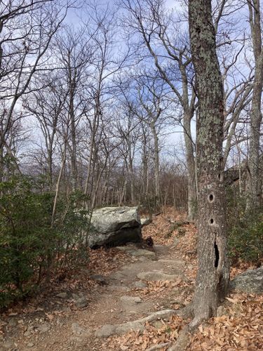 Old Rag Mountain via Weakley Hollow Fire Road, Virginia - 443 Reviews, Map