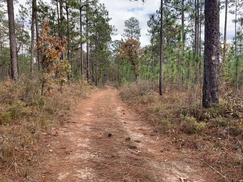 Best Hikes and Trails in Bear Lake Recreation Area | AllTrails