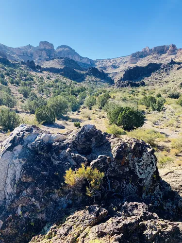 Best Hikes and Trails in Mount Nutt Wilderness AllTrails