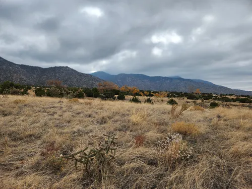 10 Best Hikes and Trails in Elena Gallegos Picnic Area/Albert G. Simms ...