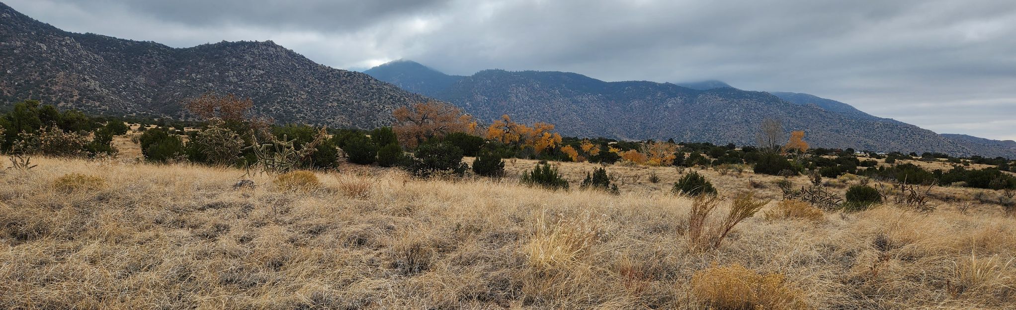 domingo-baca-trail-230-new-mexico-1-875-reviews-map-alltrails