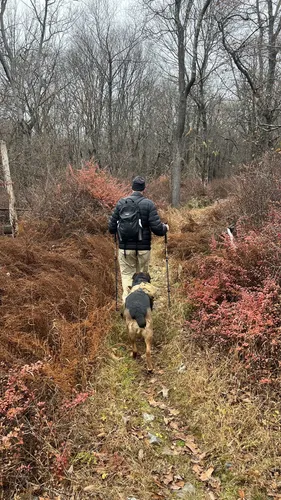 Best Hikes and Trails in Wind Gap Park | AllTrails