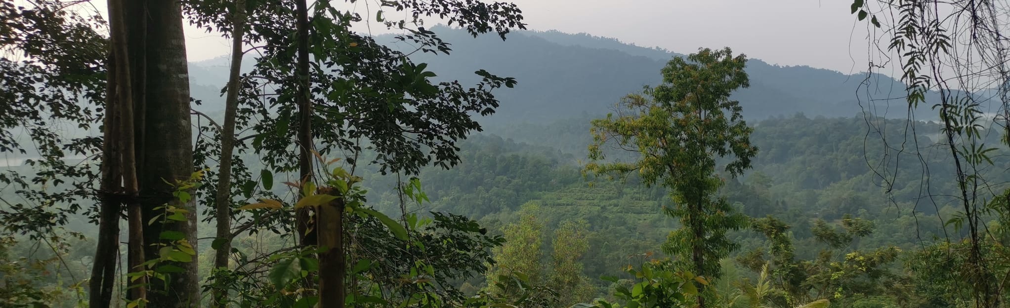 Puncak Bukit Batu Suluh, Perak, Malaysia - 14 Reviews, Map | AllTrails