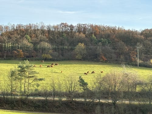 Lind: 3-Dörfer-Rundwege Kombination