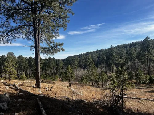 2023 Best Wildlife Trails in Nemo AllTrails