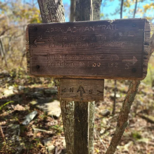 Best Forest Trails in Peterstown AllTrails