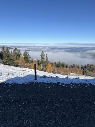 Tregler Alm