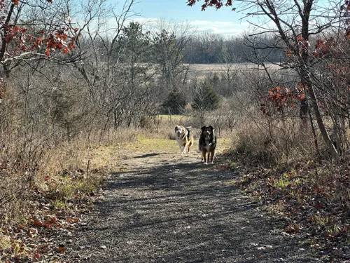 Best Hikes and Trails in W.R. Wadewitz Nature Camp | AllTrails