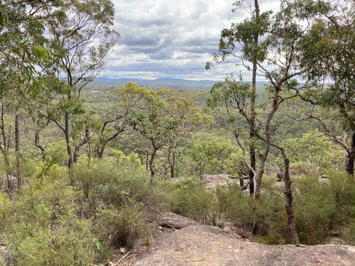 Best hikes and trails in Yellomundee Regional Park AllTrails