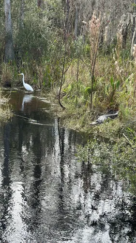 Shingle Creek Regional Park