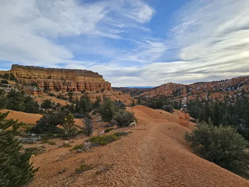 10 Best Hikes and Trails in Dixie National Forest AllTrails