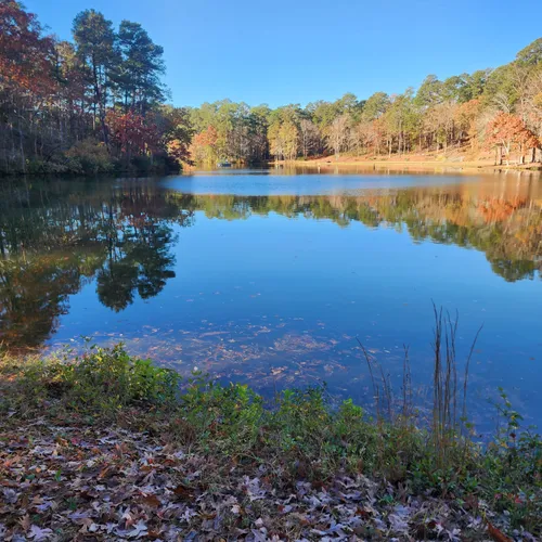 2023 Best River Trails in Seven Springs AllTrails