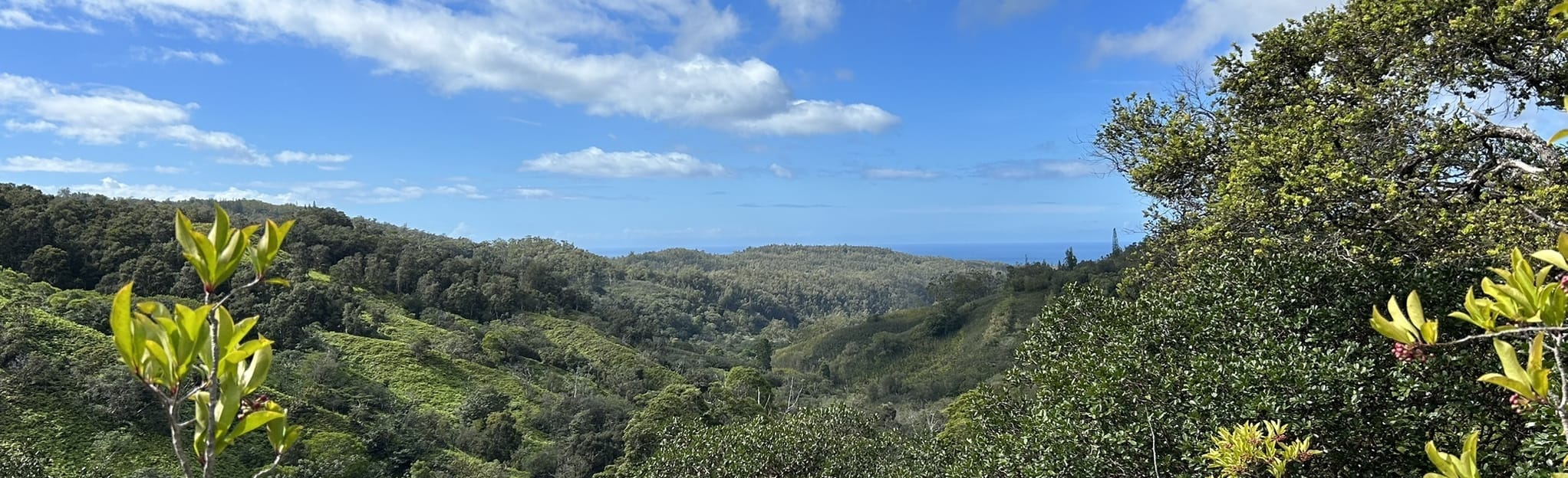 Pupukea Summit Trail, Oahu, Hawaii - 118 Reviews, Map | AllTrails