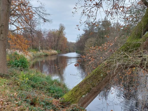 Wildgehege Raunheim und Raunheimer Waldsee ab Horlacher Becken 3