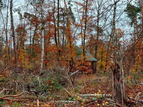 Wildgehege Raunheim und Raunheimer Waldsee ab Horlacher Becken 3