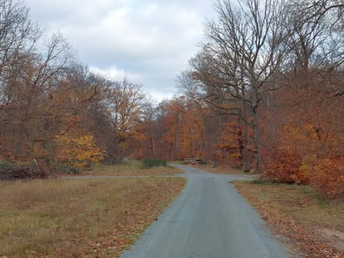 Wildgehege Raunheim und Raunheimer Waldsee ab Horlacher Becken 3