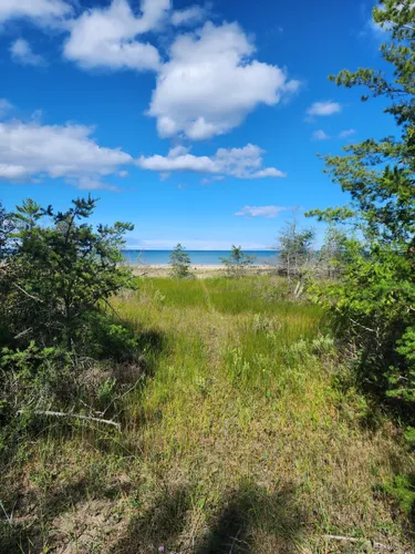 Best Hikes and Trails in Negwegon State Park AllTrails